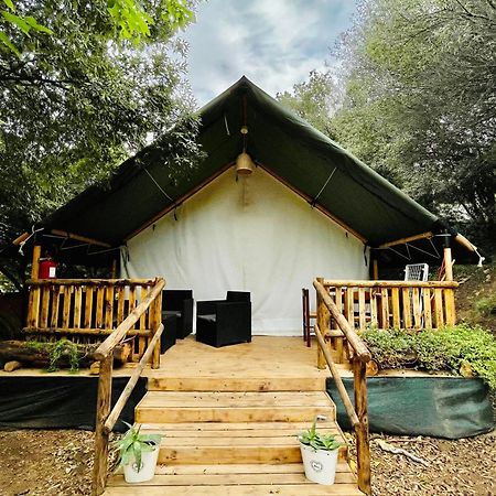 New Camping Coccorrocci Марина-ди-Гайро Экстерьер фото