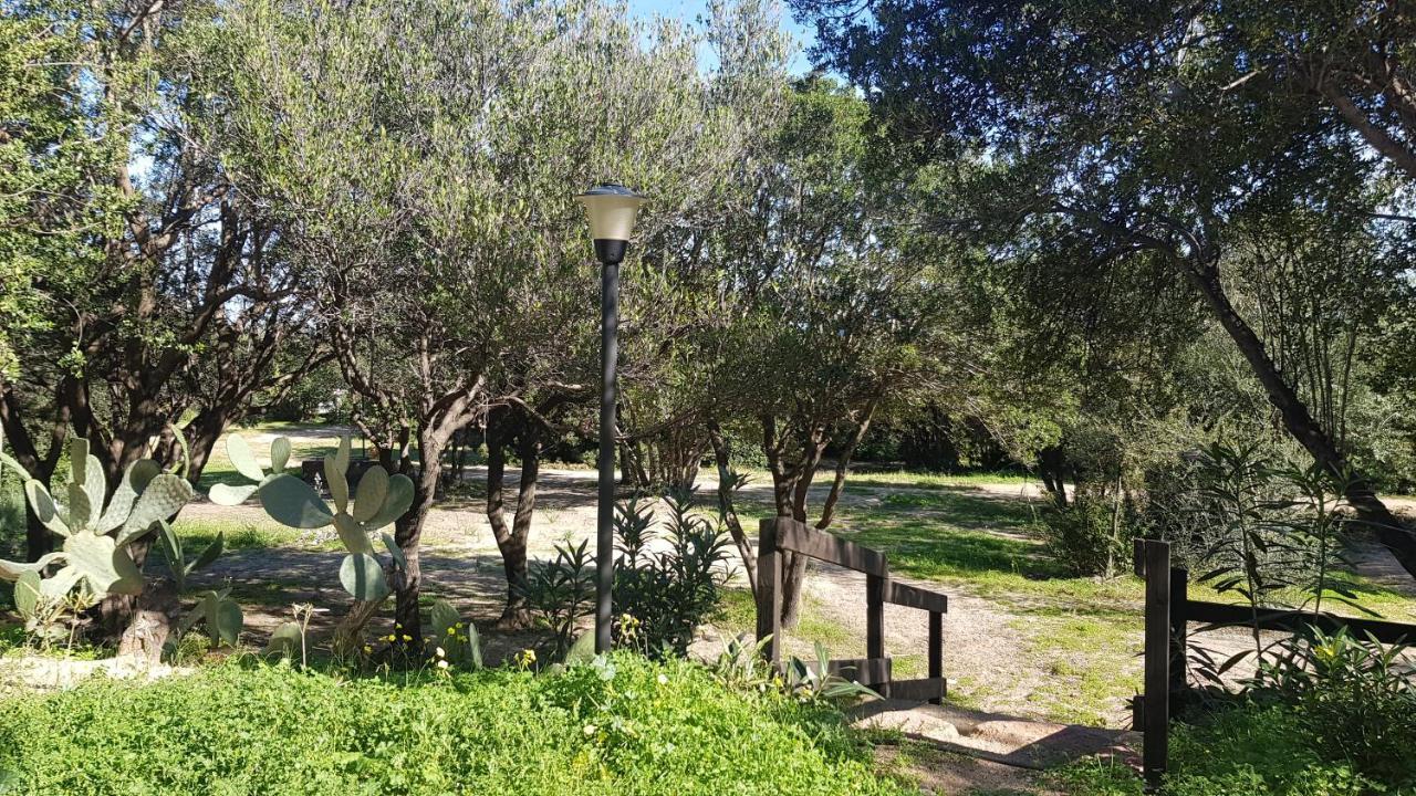 New Camping Coccorrocci Марина-ди-Гайро Экстерьер фото