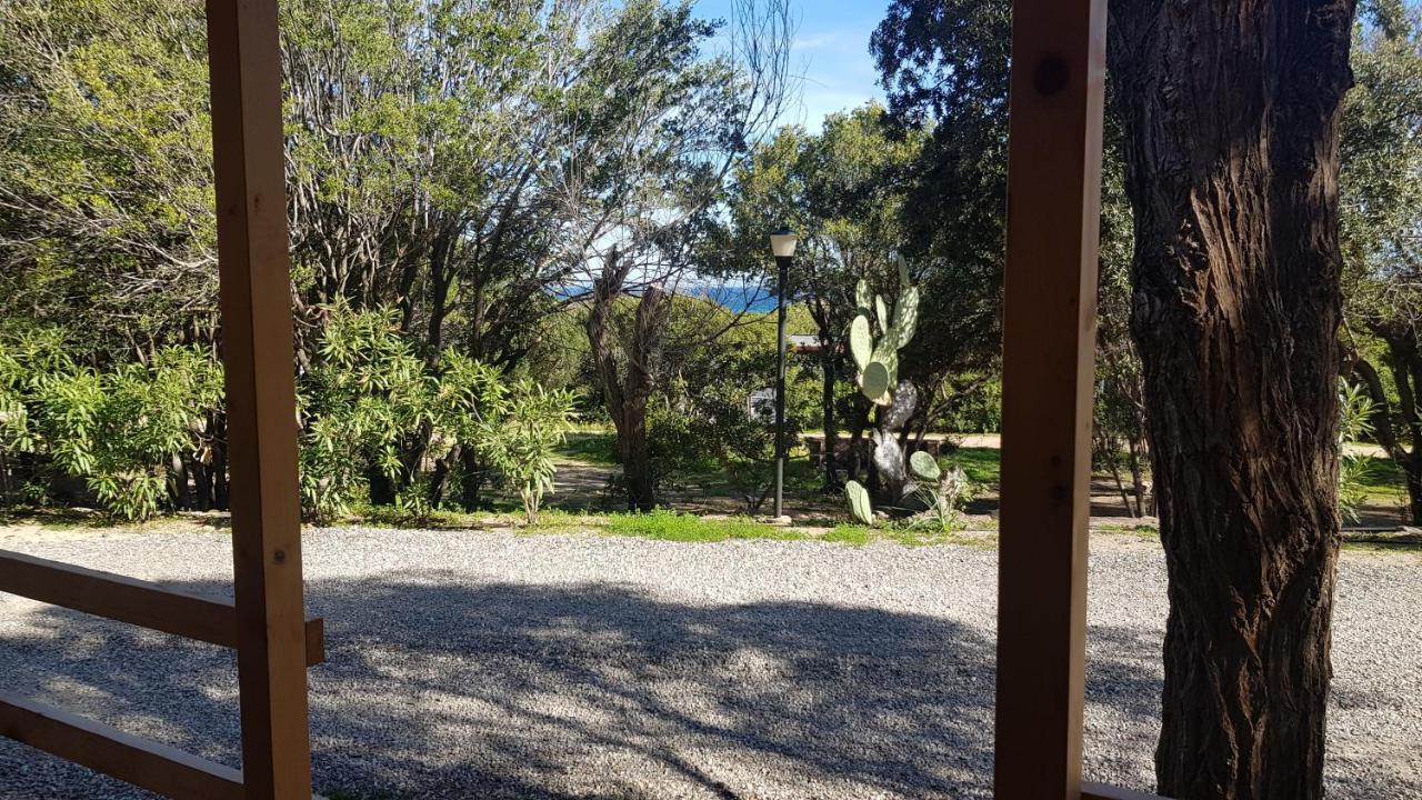 New Camping Coccorrocci Марина-ди-Гайро Экстерьер фото