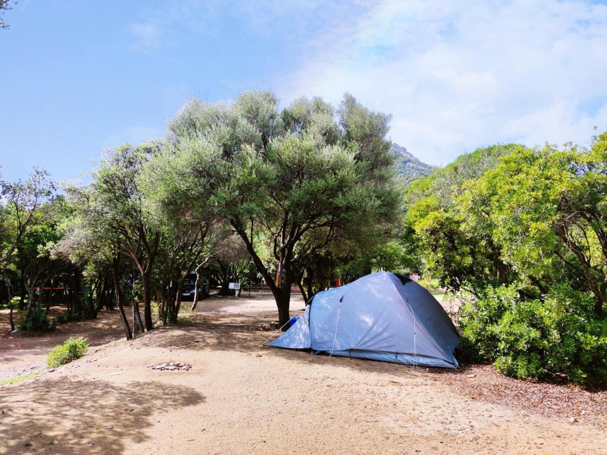 New Camping Coccorrocci Марина-ди-Гайро Экстерьер фото