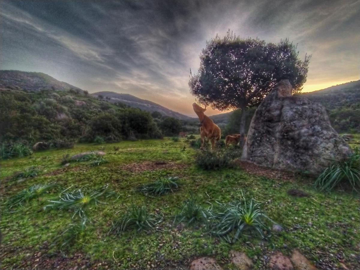New Camping Coccorrocci Марина-ди-Гайро Экстерьер фото