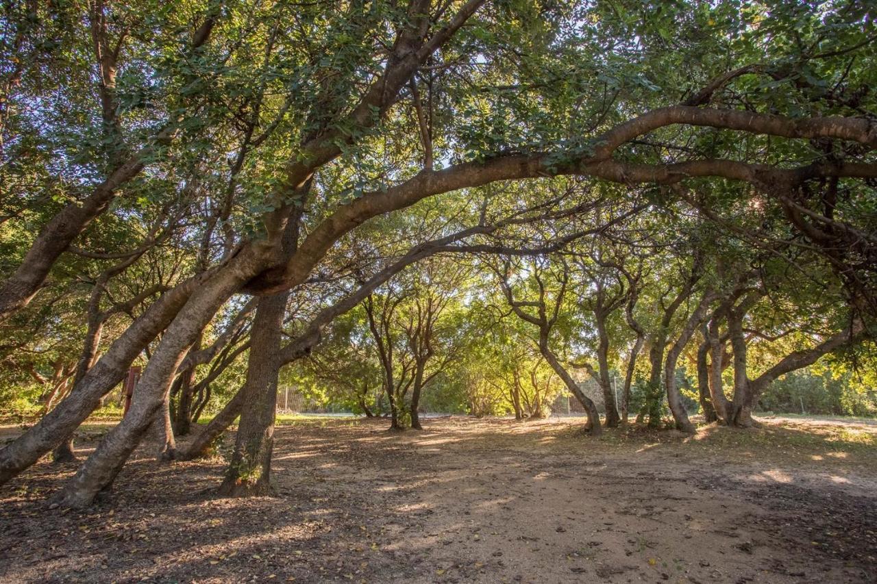 New Camping Coccorrocci Марина-ди-Гайро Экстерьер фото