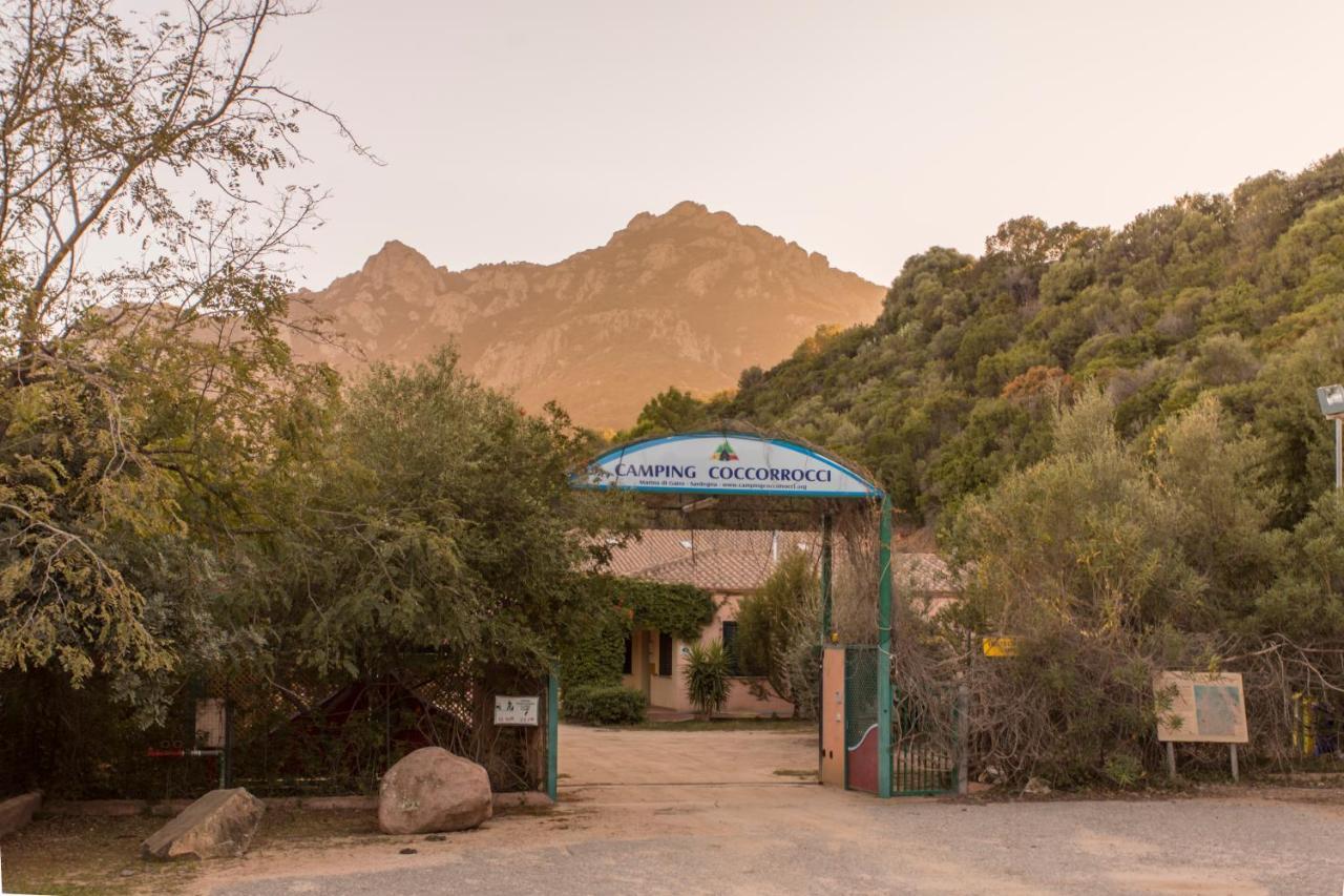 New Camping Coccorrocci Марина-ди-Гайро Экстерьер фото