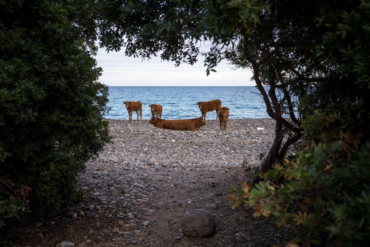 New Camping Coccorrocci Марина-ди-Гайро Экстерьер фото